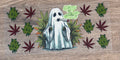 Ghost 420