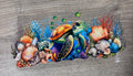 Turtle 2