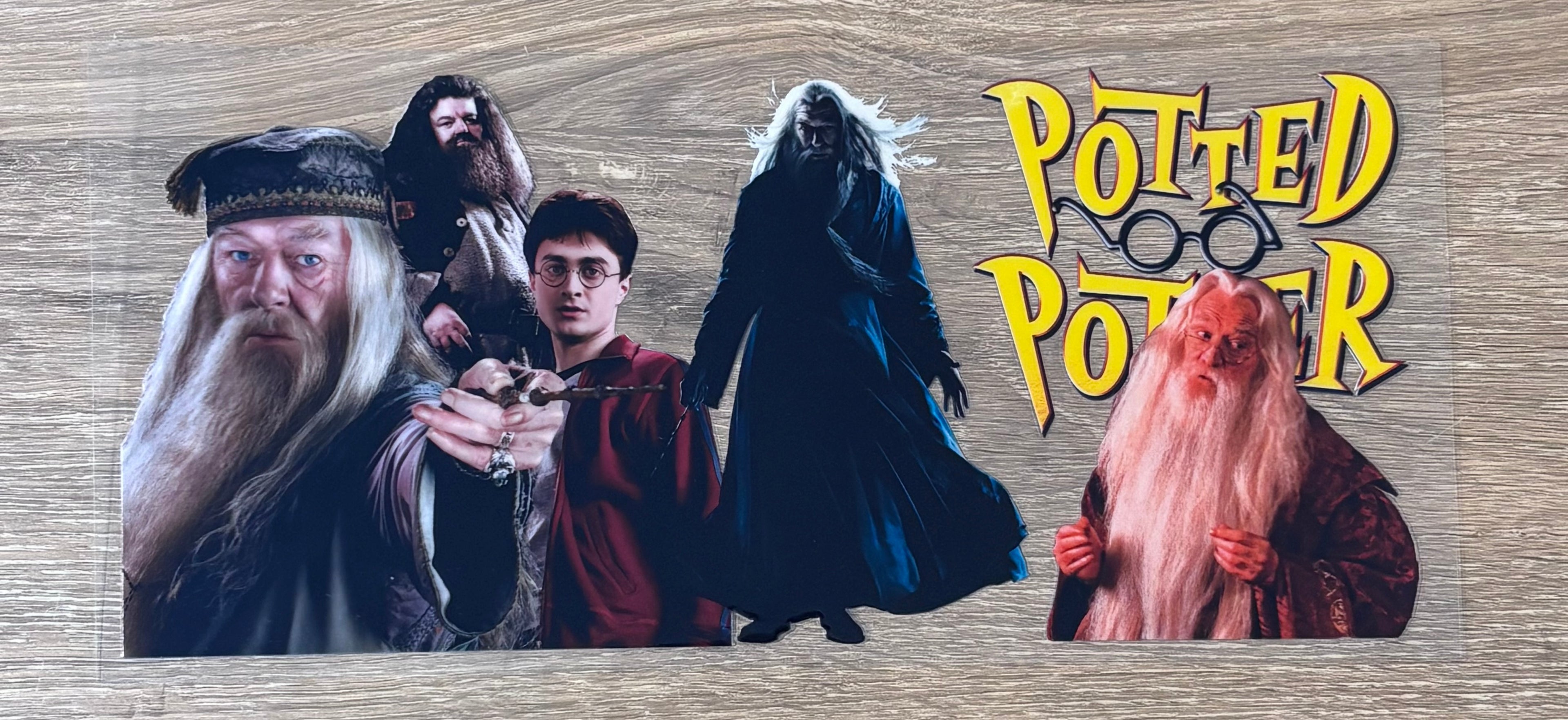 Harry Potter 2